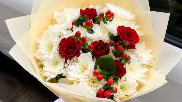 9f1cd111-5e86-481c-949b-28a8bf733c2b