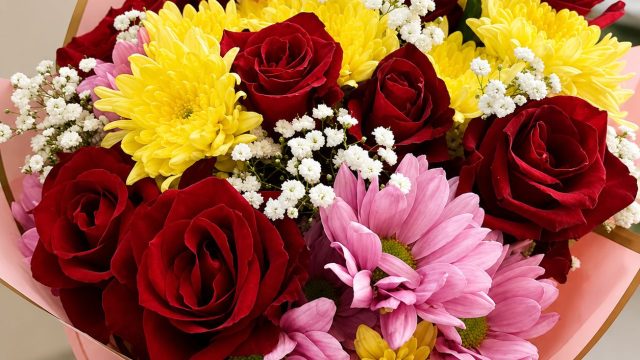ad3005f6-ae73-483b-82ca-222f27c4a027